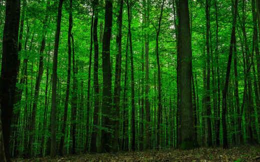 1043192 (a): :2560x1600